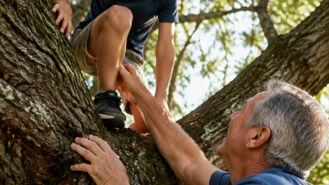The Joy of Climbing Trees: A Day with My Grandson | play luckyland slots casino, jackpot party casin