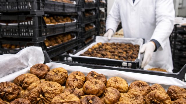 How Improved Storage Solutions Can Boost Herat's Fig Exports | slot paling mudah jackpot, oddschecke